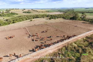 Os Serranos - Madrugada [VDownloader].00_00_23_23.Quadro005_a8ab3dcb3d8c77ce26029a5b5c1c15c89e5460a1.jpg